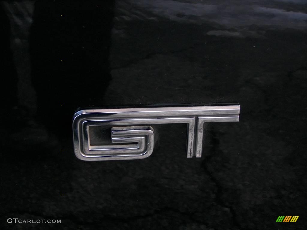 2006 Mustang GT Premium Convertible - Black / Dark Charcoal photo #23