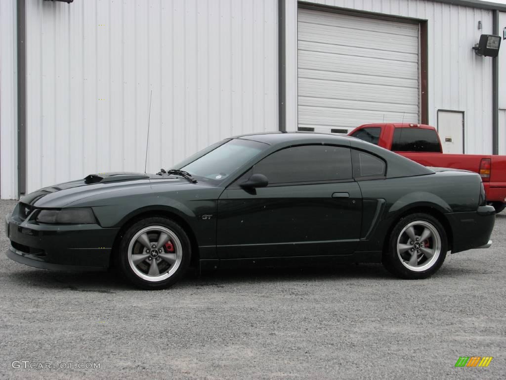 2001 Mustang Bullitt Coupe - Dark Highland Green / Dark Charcoal photo #5
