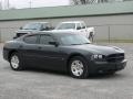 Brilliant Black Crystal Pearl - Charger  Photo No. 1
