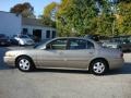 Light Bronzemist Metallic - LeSabre Custom Photo No. 10