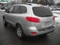 Bright Silver - Santa Fe GLS 4WD Photo No. 5