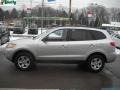 Bright Silver - Santa Fe GLS 4WD Photo No. 6