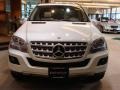 Arctic White - ML 350 4Matic Photo No. 2