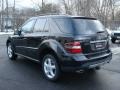 Black - ML 320 CDI 4Matic Photo No. 6