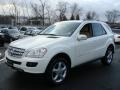 Arctic White - ML 350 4Matic Photo No. 1