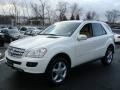 2008 Arctic White Mercedes-Benz ML 350 4Matic  photo #1