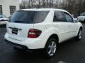 2008 Arctic White Mercedes-Benz ML 350 4Matic  photo #4