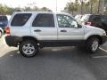 2006 Silver Metallic Ford Escape XLT V6 4WD  photo #12