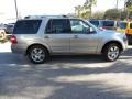 2008 Vapor Silver Metallic Ford Expedition Limited 4x4  photo #14