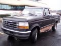 Black - F150 Eddie Bauer Regular Cab Photo No. 13