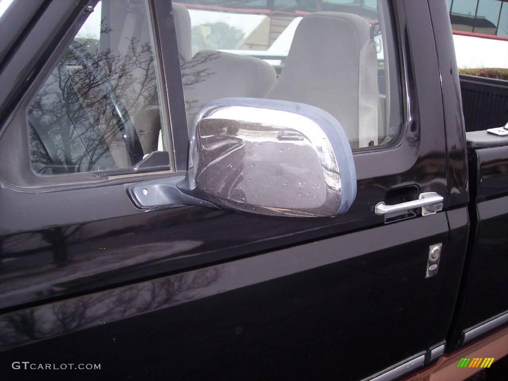 1995 F150 Eddie Bauer Regular Cab - Black / Beige photo #15