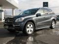 2010 Steel Grey Metallic Mercedes-Benz GL 450 4Matic  photo #1