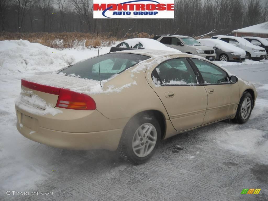 2000 Intrepid  - Champagne Pearl Metallic / Agate photo #2