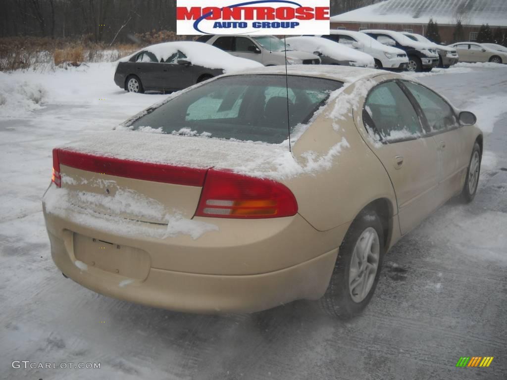 2000 Intrepid  - Champagne Pearl Metallic / Agate photo #3
