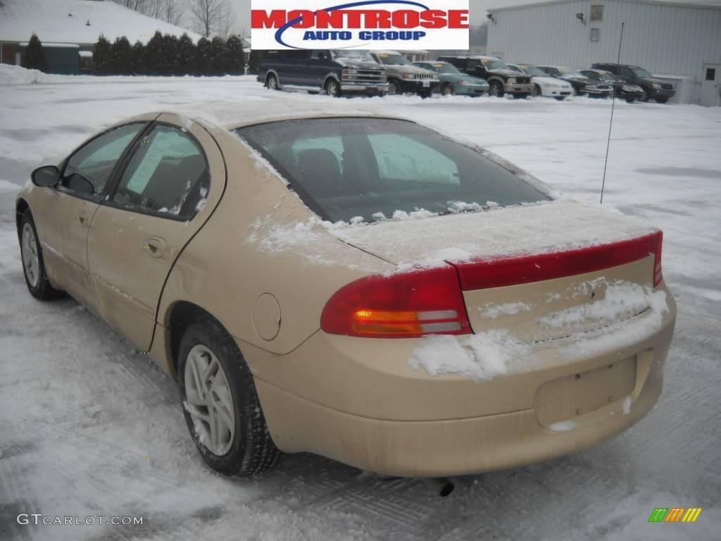 2000 Intrepid  - Champagne Pearl Metallic / Agate photo #5