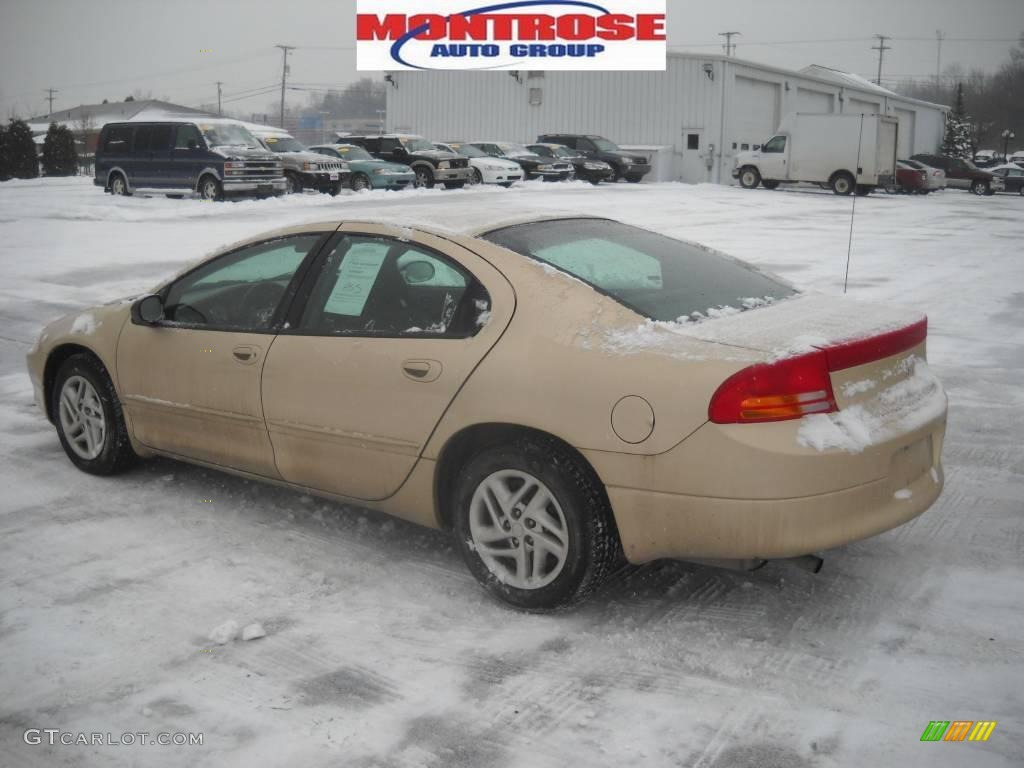2000 Intrepid  - Champagne Pearl Metallic / Agate photo #6