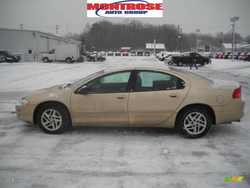 2000 Intrepid  - Champagne Pearl Metallic / Agate photo #7