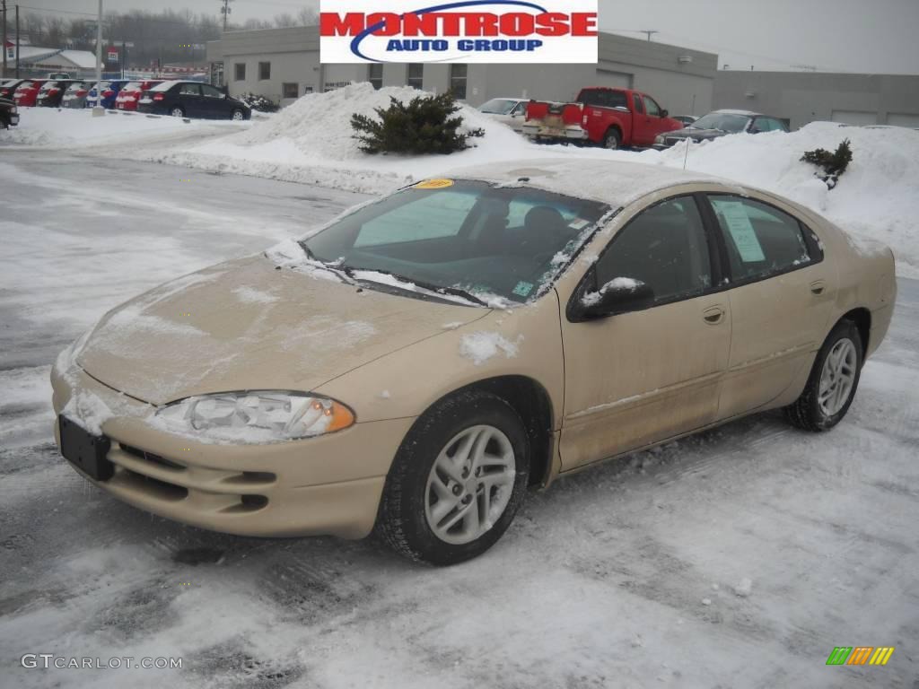 2000 Intrepid  - Champagne Pearl Metallic / Agate photo #19