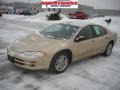 2000 Champagne Pearl Metallic Dodge Intrepid   photo #19