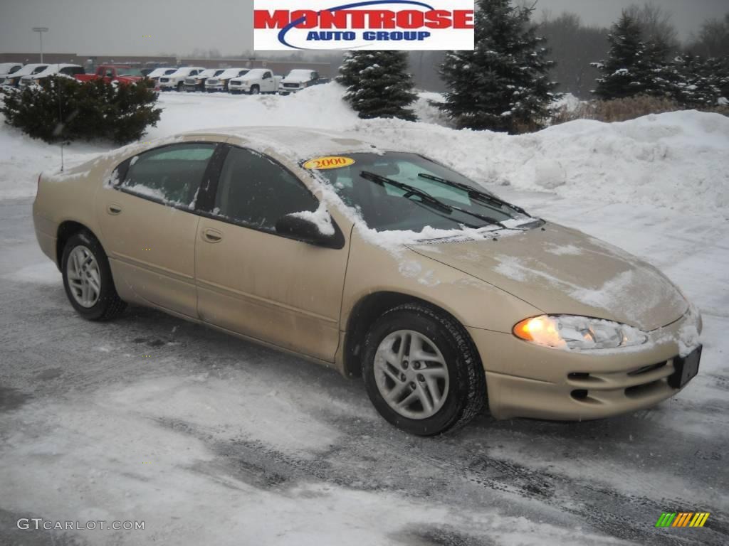 2000 Intrepid  - Champagne Pearl Metallic / Agate photo #23