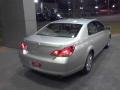 Titanium Metallic - Avalon XL Photo No. 17