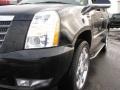 Black Raven - Escalade AWD Photo No. 3