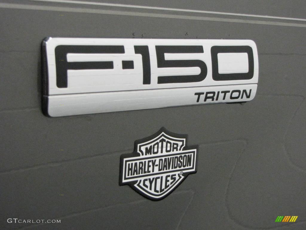 2005 F150 STX SuperCab 4x4 - Dark Shadow Grey Metallic / Medium Flint Grey photo #9