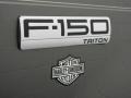2005 Dark Shadow Grey Metallic Ford F150 STX SuperCab 4x4  photo #9