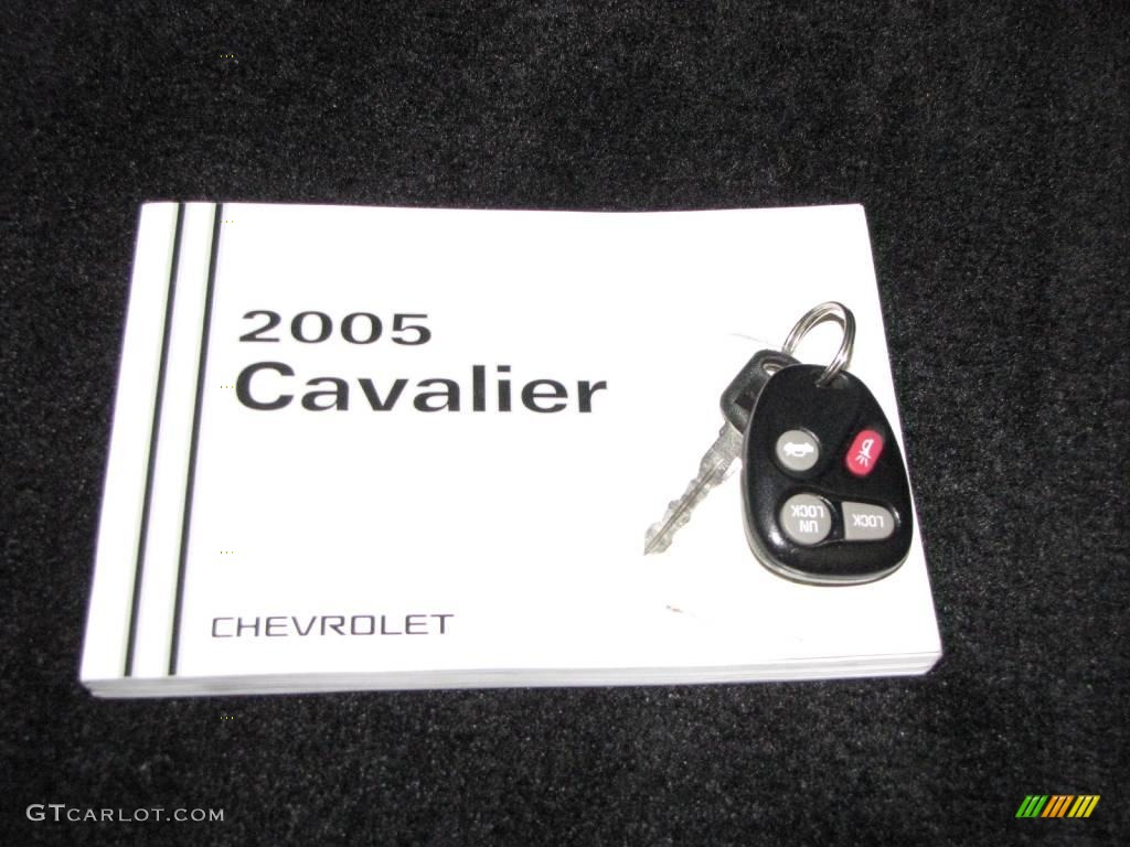 2005 Cavalier Sedan - Ultra Silver Metallic / Graphite Gray photo #20