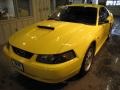 2003 Zinc Yellow Ford Mustang GT Coupe  photo #2