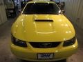 2003 Zinc Yellow Ford Mustang GT Coupe  photo #5