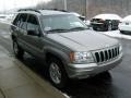 2001 Silverstone Metallic Jeep Grand Cherokee Limited 4x4  photo #6