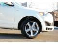 Calla White - Q7 3.0 TDI quattro Photo No. 9
