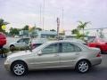 Desert Silver Metallic - C 240 Sedan Photo No. 6
