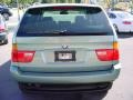 2003 Titanium Silver Metallic BMW X5 3.0i  photo #4