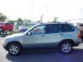 2003 Titanium Silver Metallic BMW X5 3.0i  photo #7