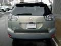 Bamboo Pearl - RX 350 AWD Photo No. 4