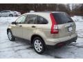 2007 Borrego Beige Metallic Honda CR-V EX 4WD  photo #2