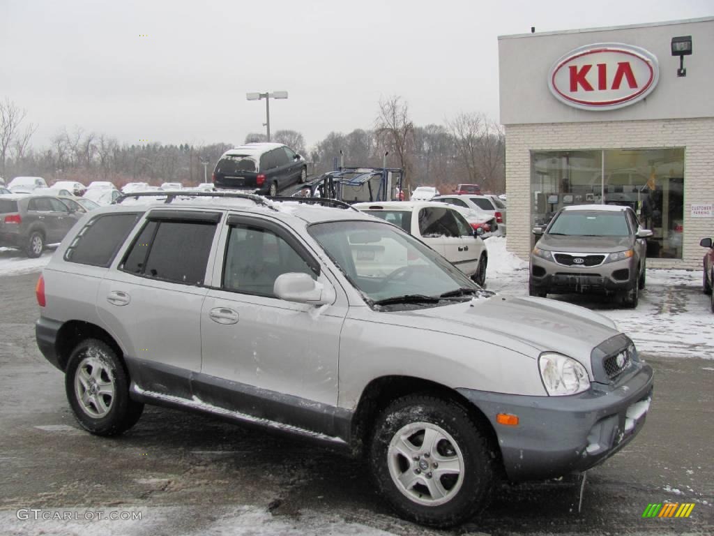 2004 Santa Fe LX - Pewter / Gray photo #1