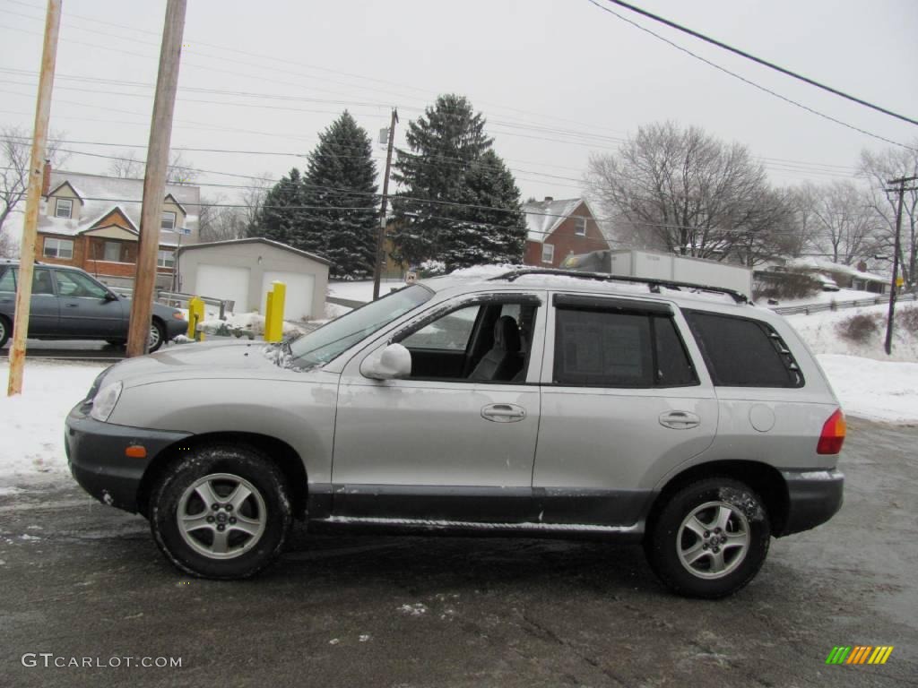 2004 Santa Fe LX - Pewter / Gray photo #4