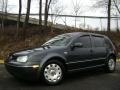 Blue Anthracite Metallic 2005 Volkswagen Golf GL 4 Door