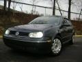 Blue Anthracite Metallic - Golf GL 4 Door Photo No. 2