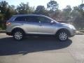 2009 Liquid Silver Metallic Mazda CX-9 Touring AWD  photo #1