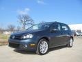 2010 Blue Graphite Metallic Volkswagen Golf 4 Door TDI  photo #1