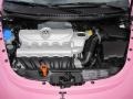 2009 Custom Pink Volkswagen New Beetle 2.5 Convertible  photo #17