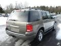 2002 Mineral Grey Metallic Ford Explorer XLT 4x4  photo #4