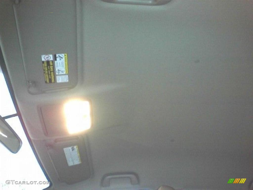 2009 RAV4 I4 - Sandy Beach Metallic / Ash Gray photo #13