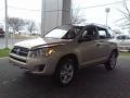 2009 Sandy Beach Metallic Toyota RAV4 I4  photo #17