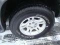 Graphite Metallic - Durango SLT 4x4 Photo No. 13