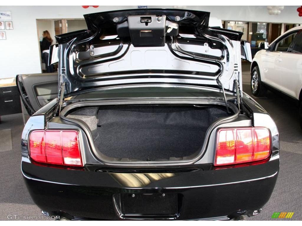 2007 Mustang GT Premium Coupe - Black / Dark Charcoal photo #6